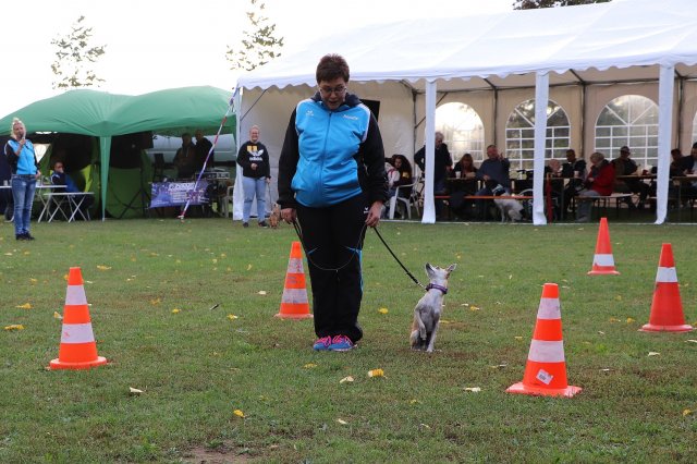 Herbstfest 2019